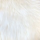 Option Ivory