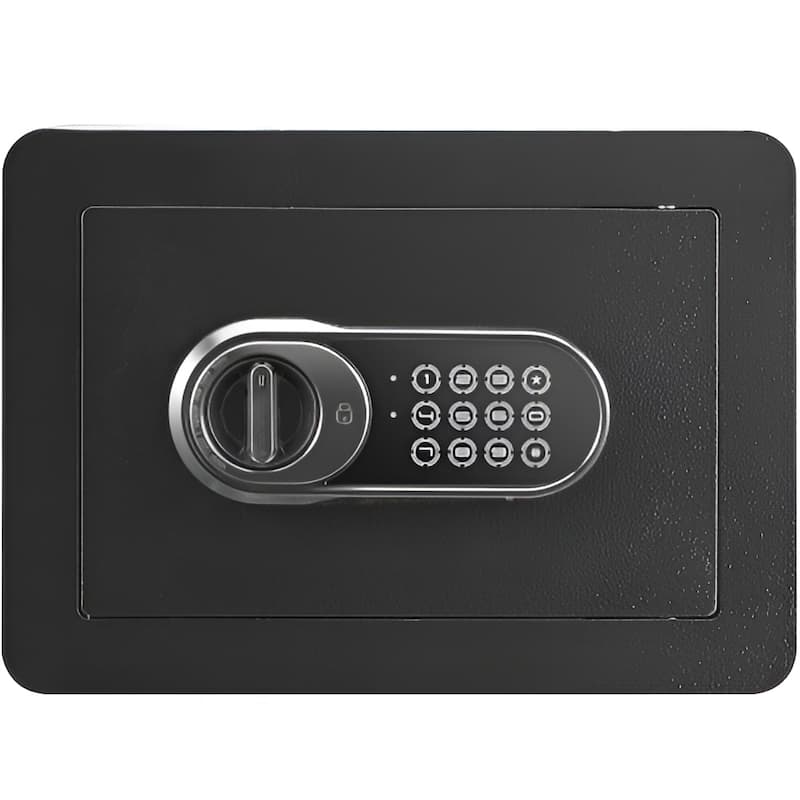 Black Cold-Rolled Carbon Steel Safe with Dual Lock, Alarm and Removable Shelf