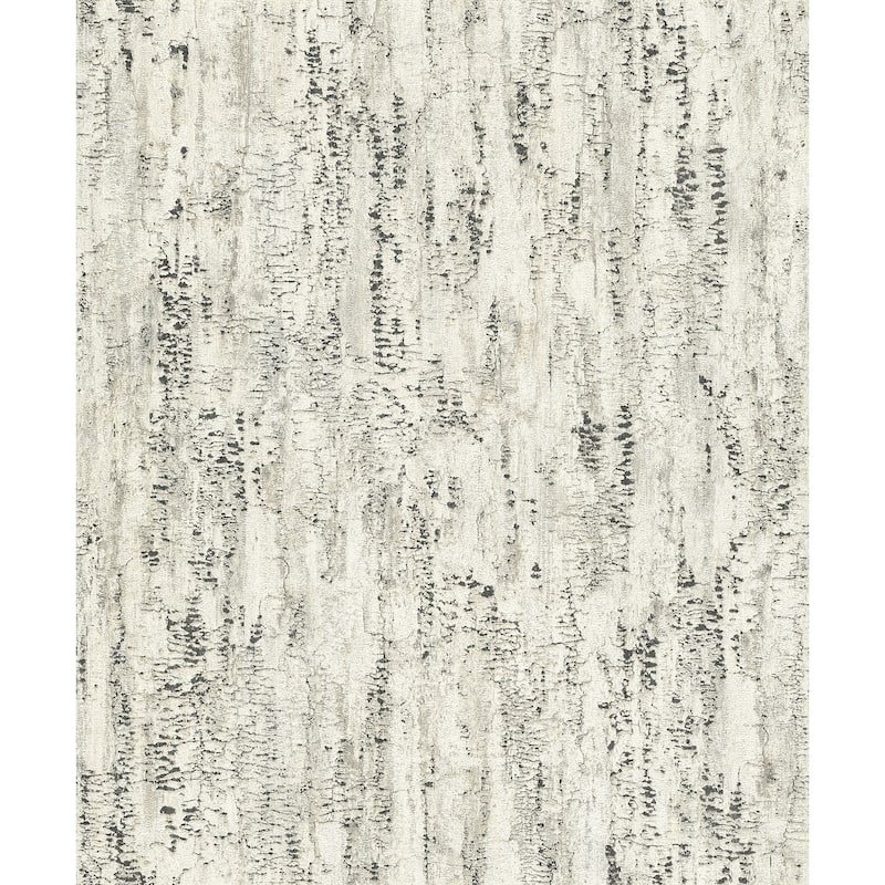 Advantage Colm Charcoal Birch Wallpaper - 20.9 x 396 x 0.025
