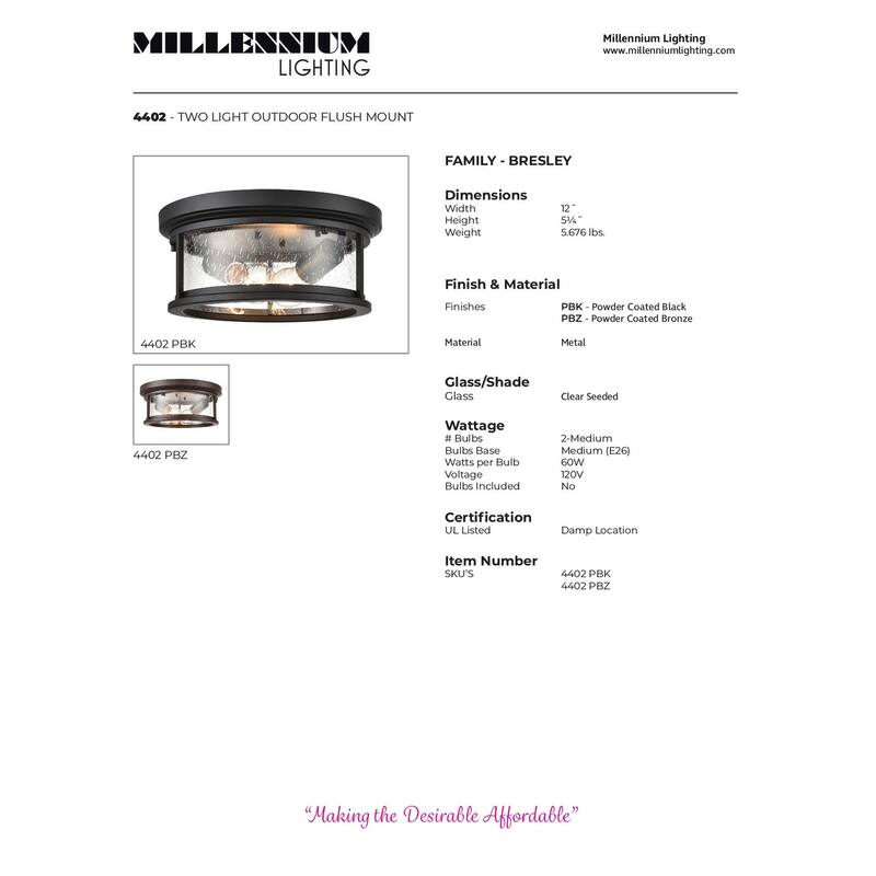 Millennium Lighting Bresley 2 Light Outdoor Flush Mount in Powder Coat Black or Bronze with Seeded Glass Shade