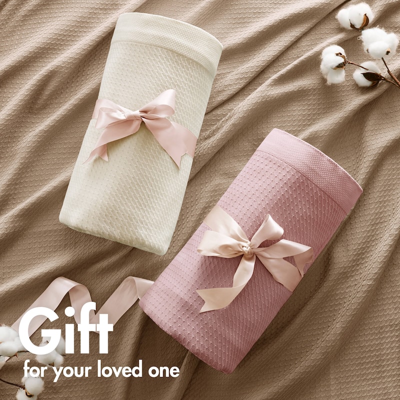 Madison Park Egyptian Cotton Solid Blanket