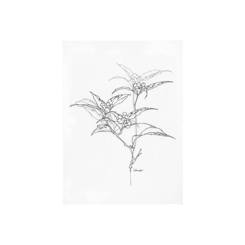 Arrangement IV (30 x 40) Canvas Art Print - Small