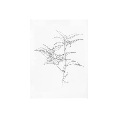 Arrangement IV (30 x 40) Canvas Art Print