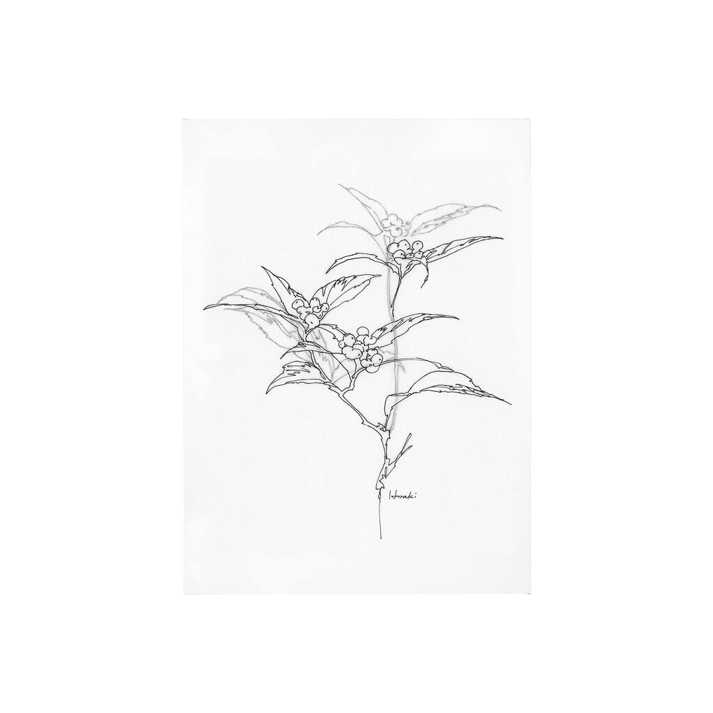 Arrangement IV (30 x 40) Canvas Art Print