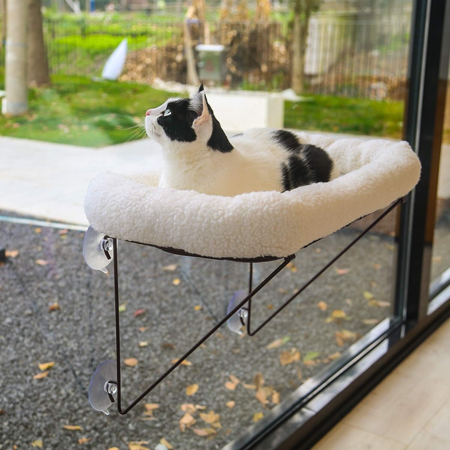 Cat Window Perch Metal Supported from Below with Pet Bed