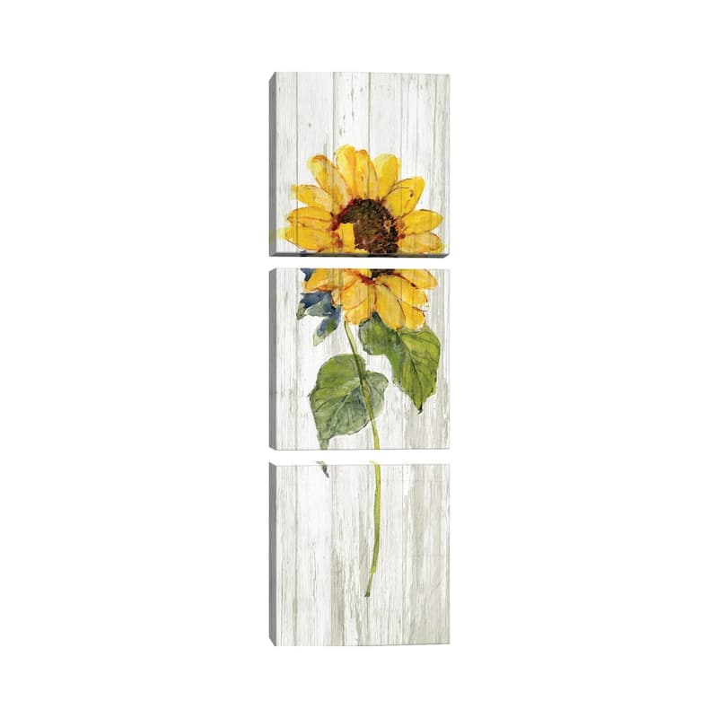 iCanvas "Sunflower in Autumn I" by Sally Swatland 3-Piece Canvas Wall Art Set