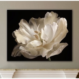ArtWall Cora Niele 'White Tulip' Gallery Wrapped Canvas Wall Art