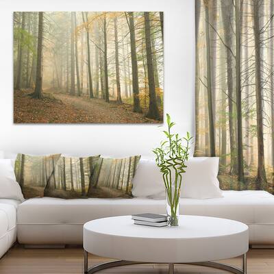 Path in Misty Autumn Forest - Landscape Wall Art