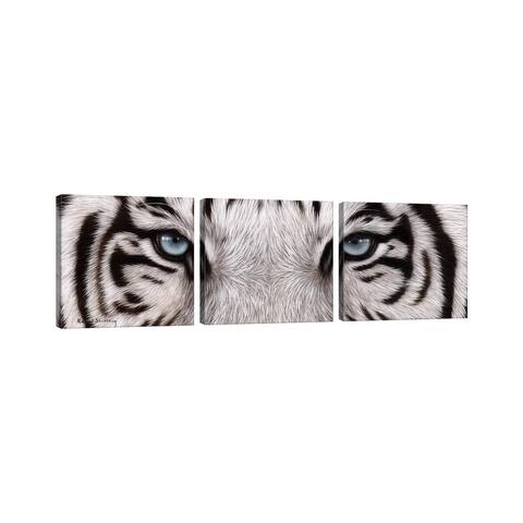 iCanvas "White Tiger Eyes" by Rachel Stribbling 3-Piece Canvas Wall Art Set