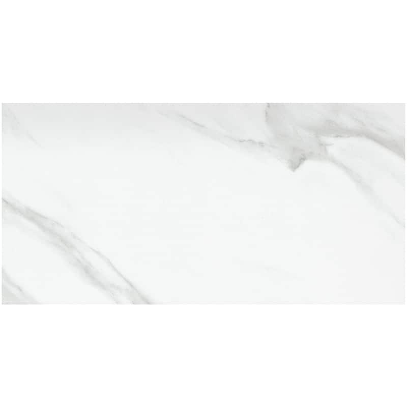 Emser Tile F19NOBL1224P Nobleza - 12" x 24" Floor and Wall Tile - - Astorga