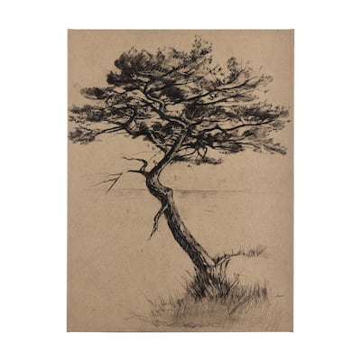Tree Drawing III (45 x 60) Canvas Art Print