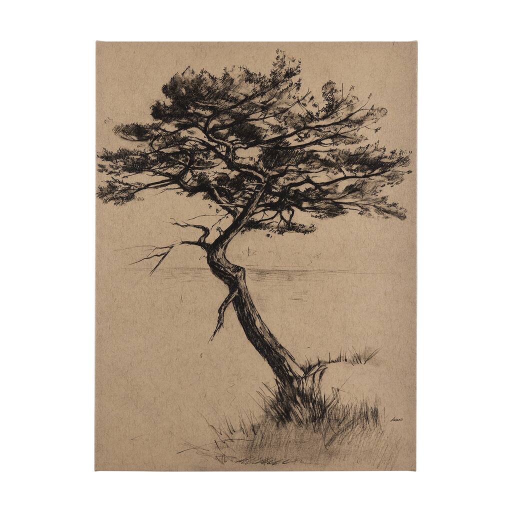 Tree Drawing III (45 x 60) Canvas Art Print