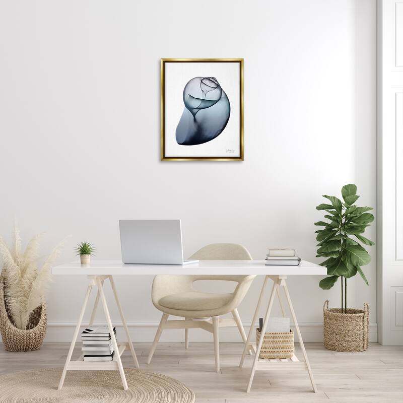 Stupell Contemporary Snail Shell Framed Floater Canvas Wall Art Design by Albert Koetsier