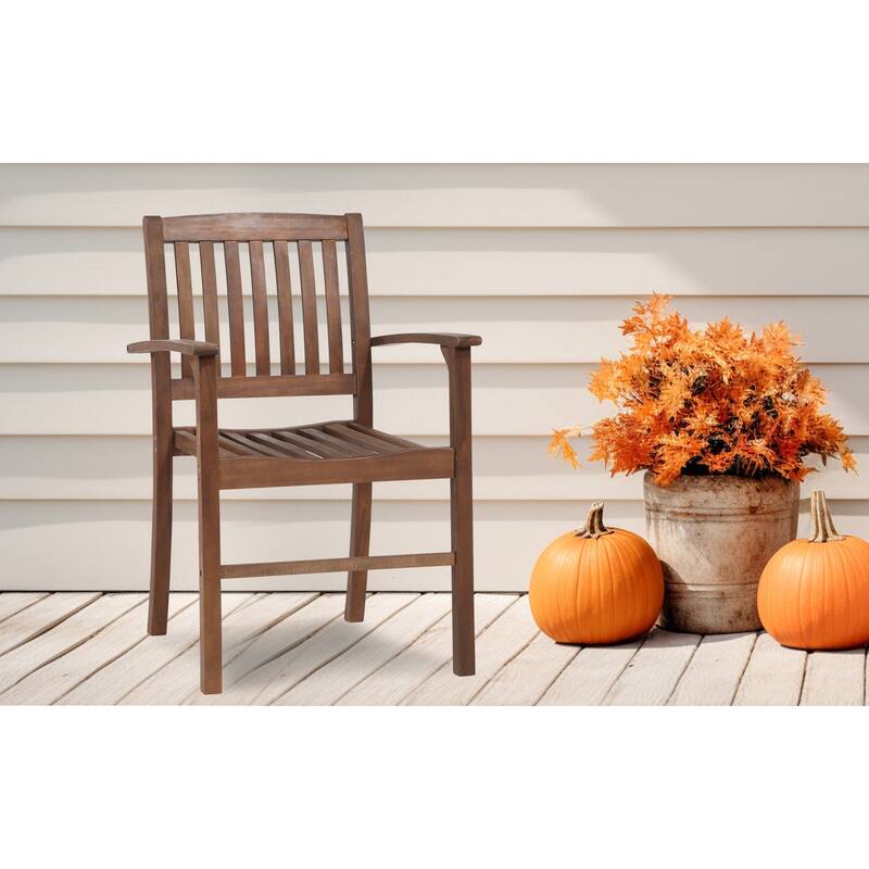 Patio Dining Chair Set of 2