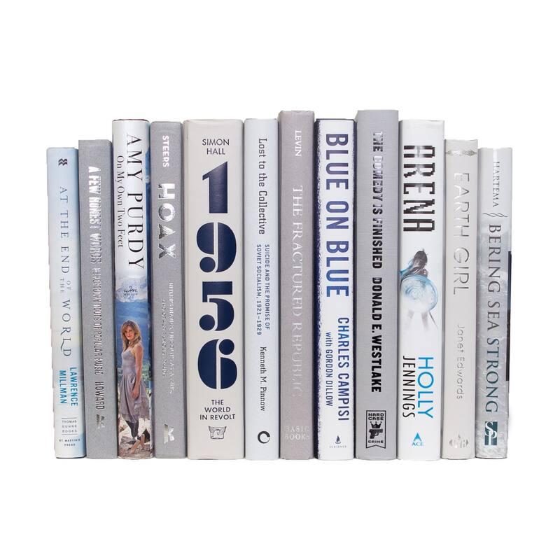 Books Blue Decorative Accessories: Blue Ice Mixed Media ColorPak