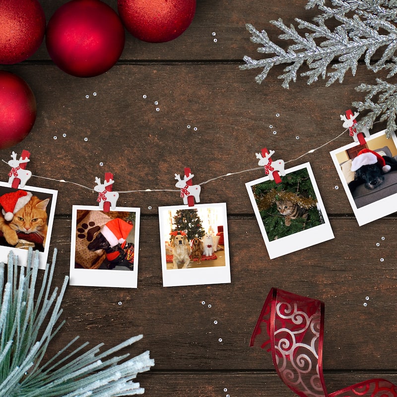 LED Mini Reindeer Christmas Fairy Light Clips - 5.25' Copper Wire - 10ct