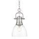 preview thumbnail 1 of 0, Golden Lighting 3602-S PW Duncan 9" Wide Mini Pendant Pewter / Clear