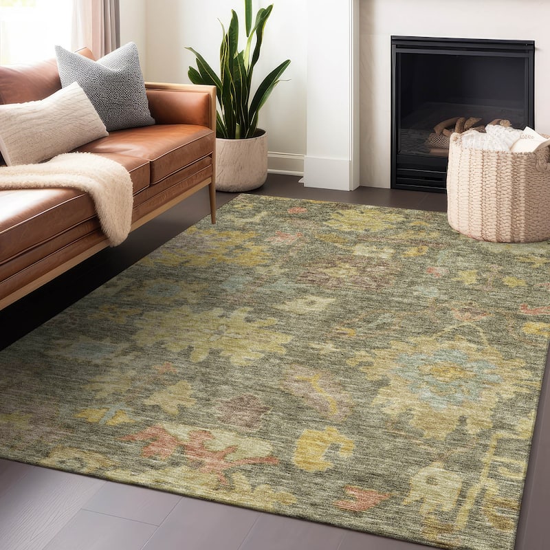 Machine Washable Indoor/ Outdoor Vintage Traditional Chantille Rug - Aloe - 2'6" x 3'10"