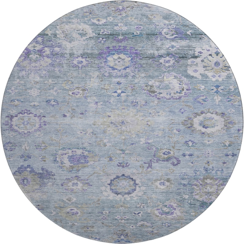 Premium Washable Super Soft Traditional Vintage Mayfield Rug