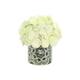 Option White, Mosaic