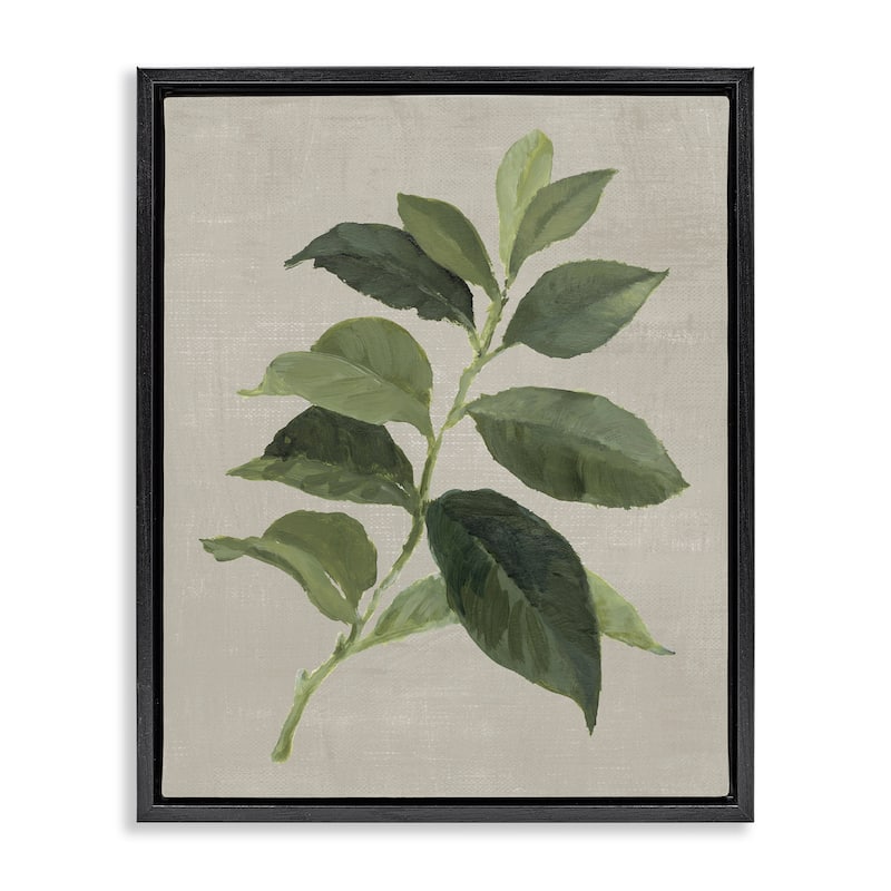 Stupell Arabica Coffee Plant Leaf Framed Floater Canvas Wall Art Design By Lanie Loreth - 17 x 21 - Black