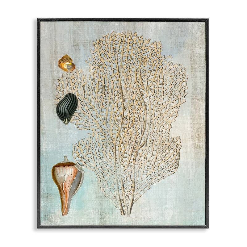 Stupell Detailed Coral & Seashells Framed Giclee Art Design By Susan Arnot - 11 x 14 - Black