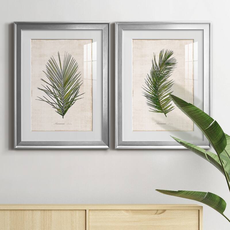 Palm Botanical I Premium Framed Print - Ready to Hang
