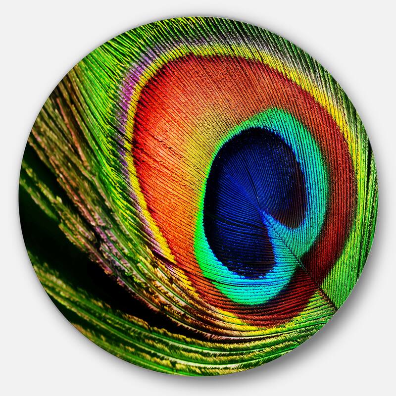 Designart 'Peacock Feather' Photography Circle Wall Art - 11 x 11 - disc of 11 inch