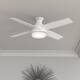 Hunter 52" Dempsey Flush Mount Ceiling Fan w/ LED Light Kit and Handheld Remote