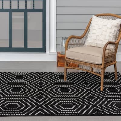 Tecopa Black and White Indoor Outdoor Woven Area Rug
