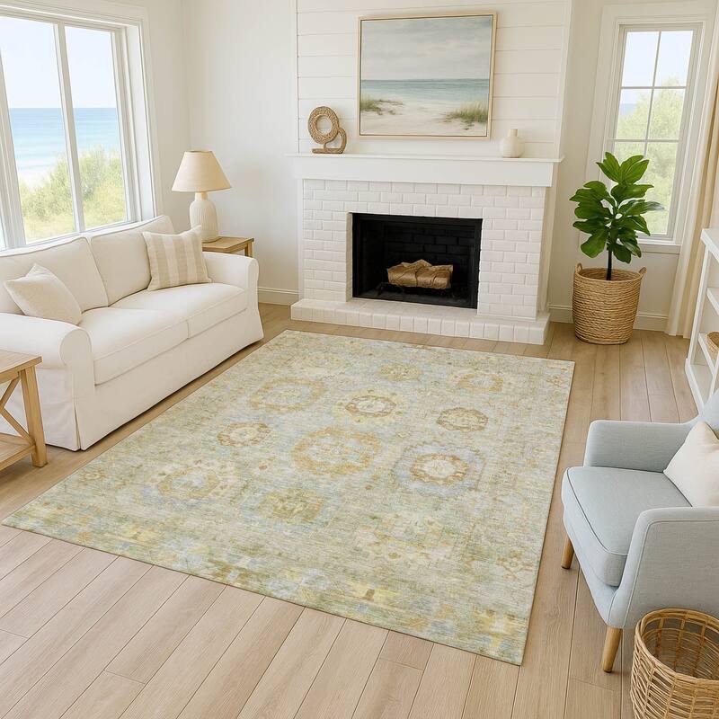 Machine Washable Indoor/ Outdoor Vintage Traditional Chantille Rug