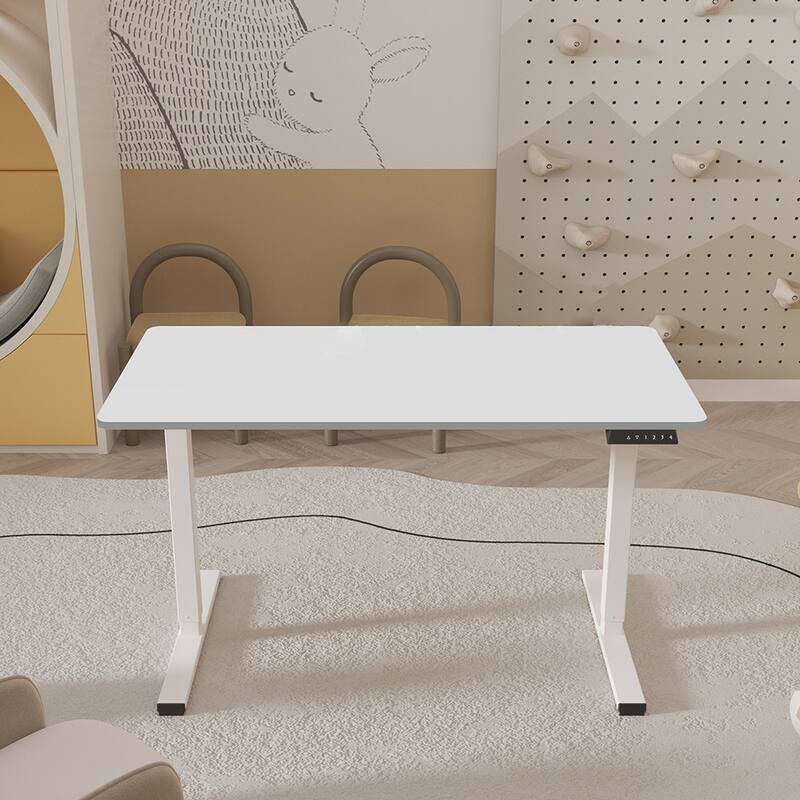 Electric Standing Desk 48x24 Inch Adjustable Office Setup - White