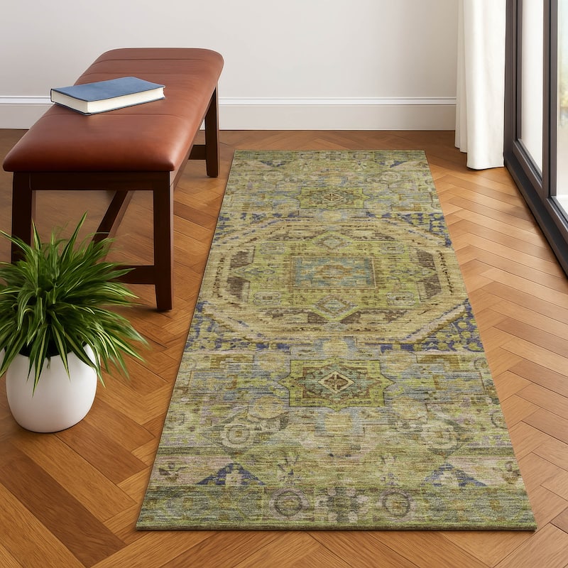 Premium Washable Super Soft Vintage Traditional Mayfield Rug - Aloe - 2'3" x 7'6"