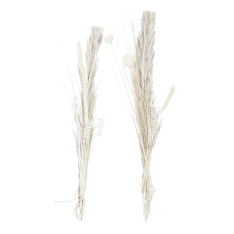 Dried Plant Pigeon pea Home Decor Natural Foliage - Set of 2 Brown - Roche River Decor - Brown