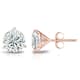 Option Rose