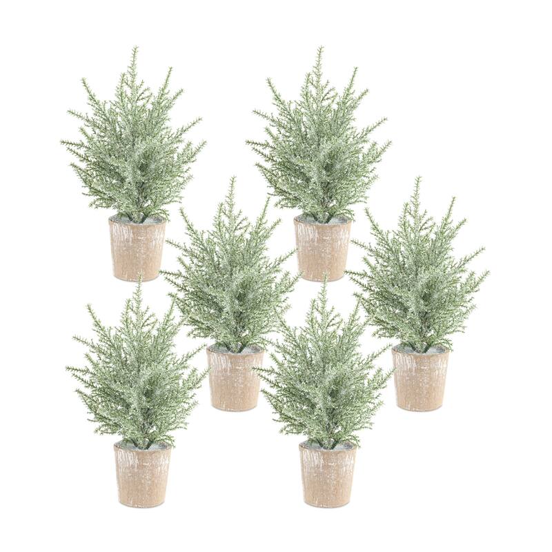 Potted Icy Pine Tree (Set of 6)