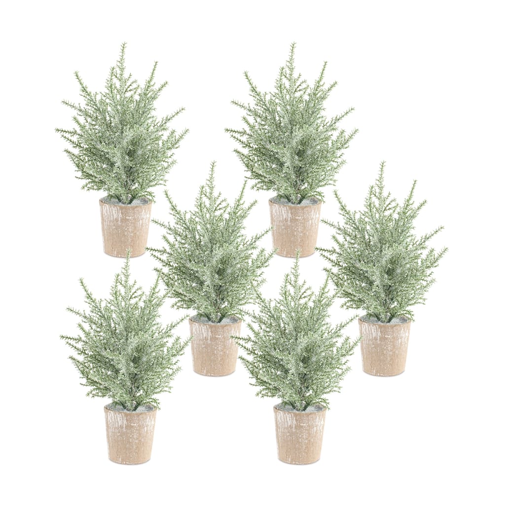 Potted Icy Pine Tree (Set of 6)