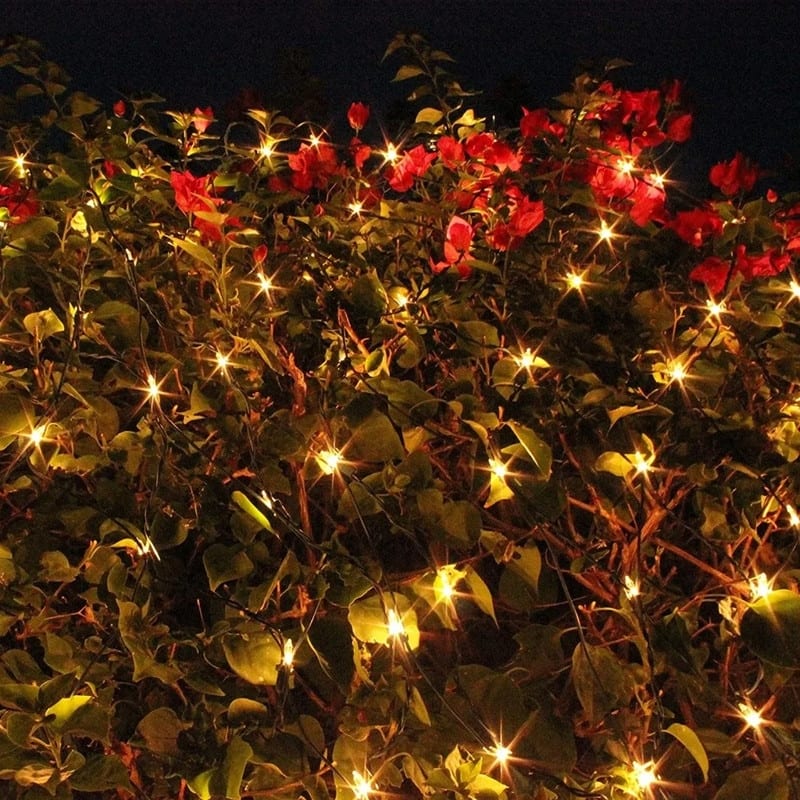 Warm White Net Christmas Lights