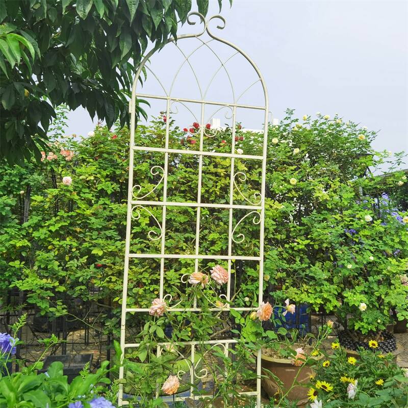 4 Pcs Rustproof Metal Garden Trellis for Climbing Plants