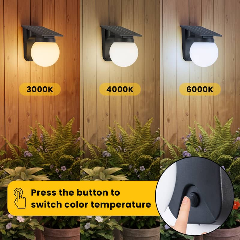 C Cattleya 2-Pack Black Solar Outdoor Wall Sconce with Globe Shade