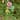Glitzhome 34"H Garden Flower and Hummingbird Yard Stake Spring Gifts