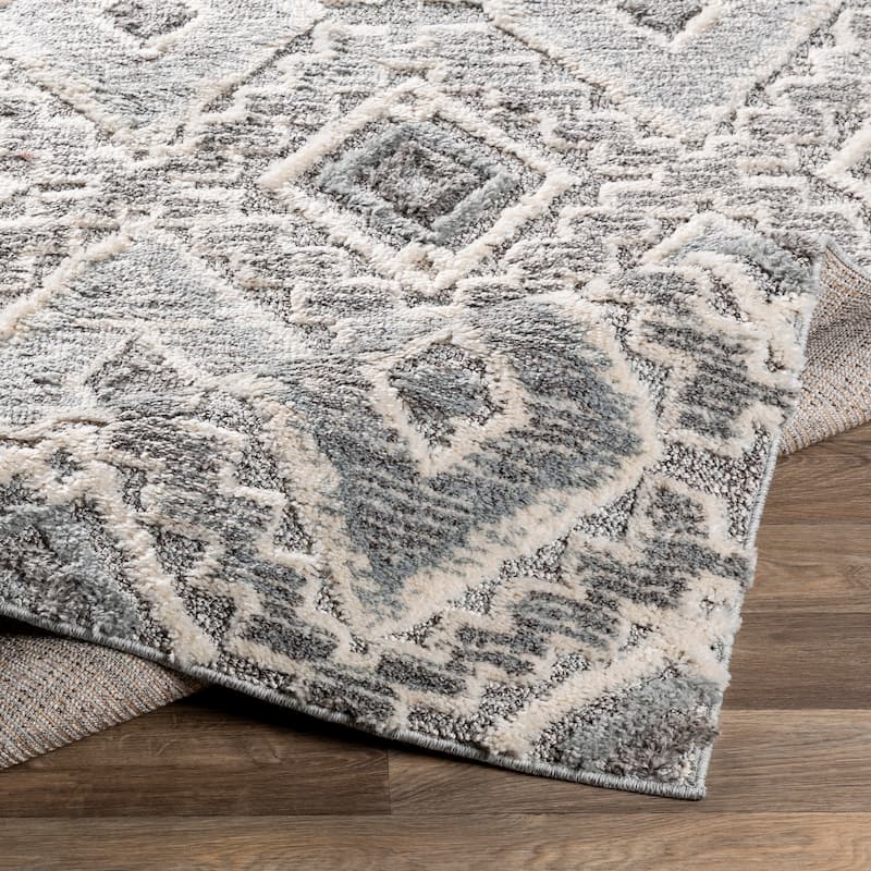 Sanderson Southwestern Medallion Area Rug