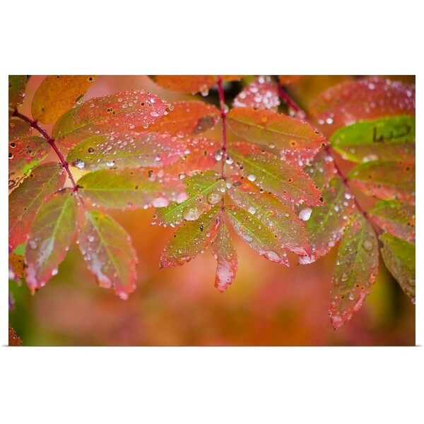 "Dew on checker tree" Poster Print