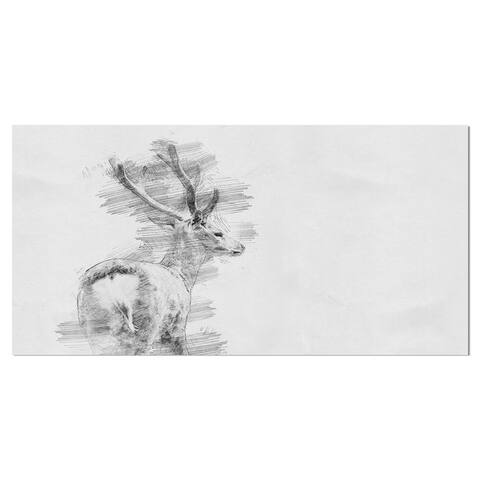 Designart 'Black and White Deer Sketch' Animals Print on Wrapped Canvas