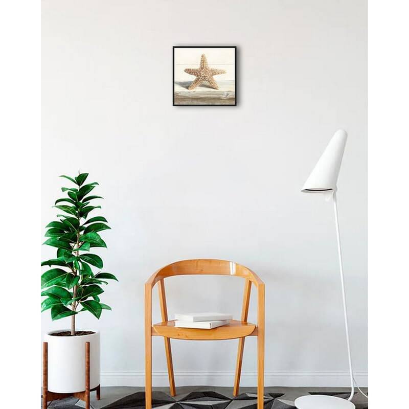 Driftwood Shell III Framed Poster - 12 x 12 Inch - Black
