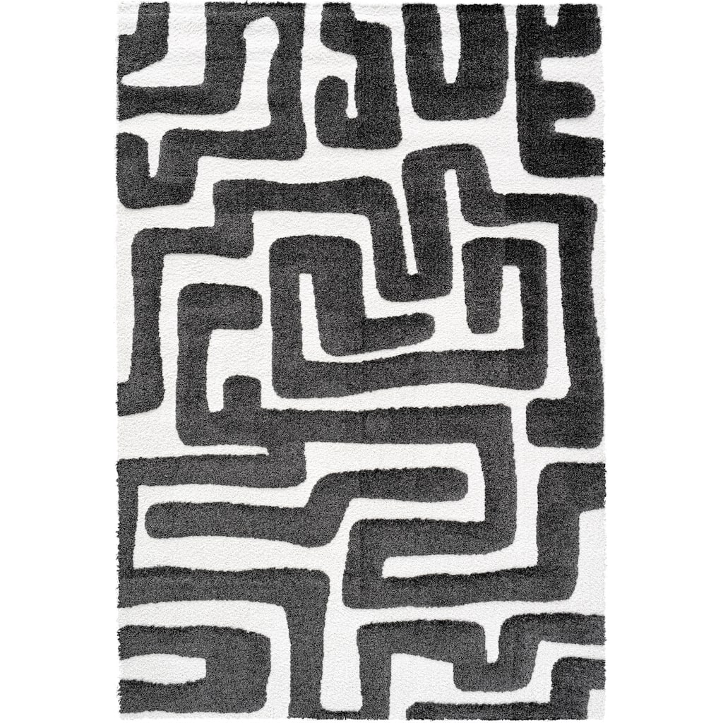 Lillian Black and Ivory Recycled Polyester Area Rug - 6' x 9'