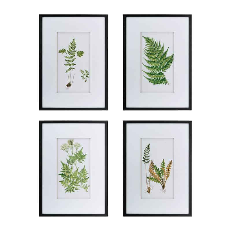 Set of 4 Botanical Black And White Fern Wall Art