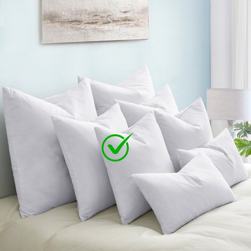 Bed bath and beyond throw sales pillow inserts