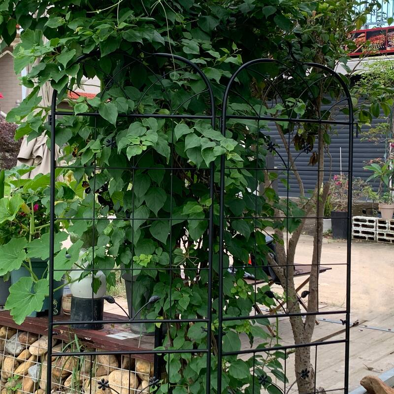 Metal Garden Trellis, 2 Pack Metal Trellis for Climbing Plants, Indoor/Outdoor Plant Trellis, Lawn Garden Fence Decor Screen