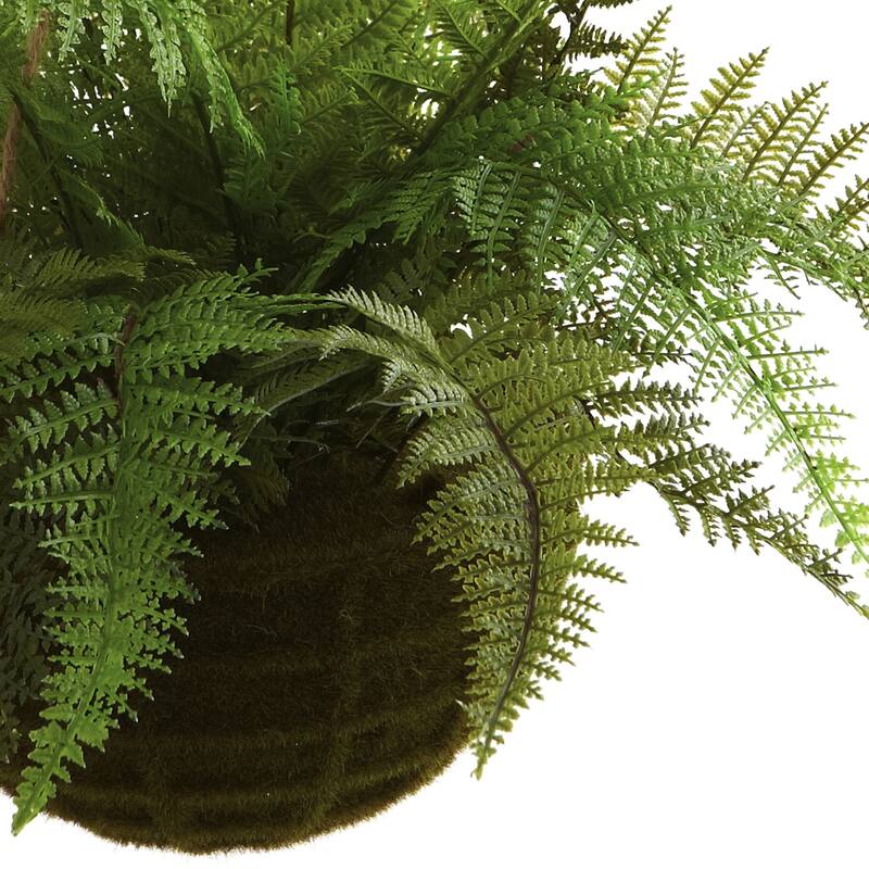Hanging Fern Plant Set of 2, Moss Basket Decor, 13"H, Indoor Outdoor Greenery, Gothic Glamour Home Decor - 1.08ft.